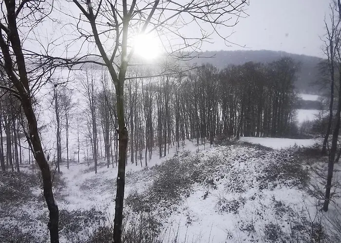 度假居 Haus Waldblick